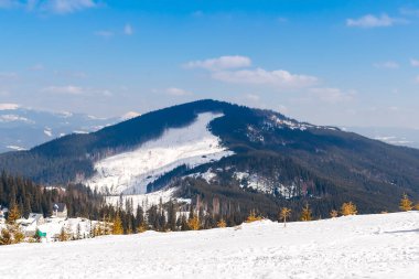 Kış güzel manzaralı, parlak doğa dağları kayak merkezindeki panorama. Çam köknarı köknar ağaçları, güneşli ve soğuk bir günde ormandaki buza bulanmış. Ukrayna Karpatları manzarası..
