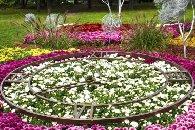 Kiev 'de Ukrayna' nın Şarkı Söyleyen Tarlası 'nda ünlü çiçek sergisi. Çiçeklerin saat şeklinde olduğu doğal manzara tasarımı, baharda şehir parkındaki çalılar. Avludaki yeşil bahçe.