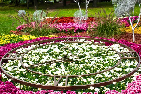 Famous flower exhibition in Kiev on Singing Field,Ukraine. Natural landscape design with flower beds in clock shape,trimmed bushes in city park at spring. home green garden in courtyard