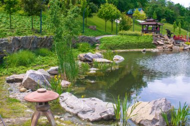 Bahçede güzel yeşil botanik manzara tasarımı, ağaçlarla, çalılarla ve banklarla dolu şehir parkı, ahşap çardak, dekoratif göl havuzu, taze çimen. Sahne yaz bahçıvanlığı arka plan, konsept.