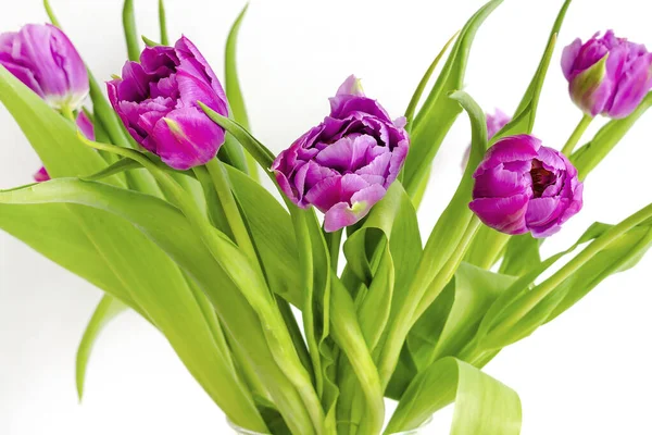 Фиолетовый Фиолетовый Тюльпаны Красочный Букет Вазе Цветочный Магазин Флористический Дизайн — стоковое фото