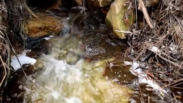 Flujo Arroyo Primavera Aguas Residuales Del Río Las Montañas Aguas — Vídeo de stock