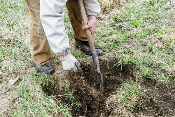 Pekerja Laki Laki Kaki Manusia Laki Laki Menggali Tanah Bajak — Stok Foto