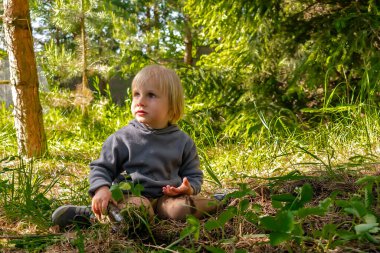 Çilek tohumu eken tatlı çocuk, organik bahçede toprak, orman. Tarım, tarım, ekoloji, çevre dostu, tarım, yaz konseptinde komik çocukluk..