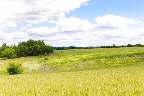 Вид Воздуха Сельскую Местность Украинской Деревни Окружении Сельскохозяйственного Поля Зеленой — стоковое фото