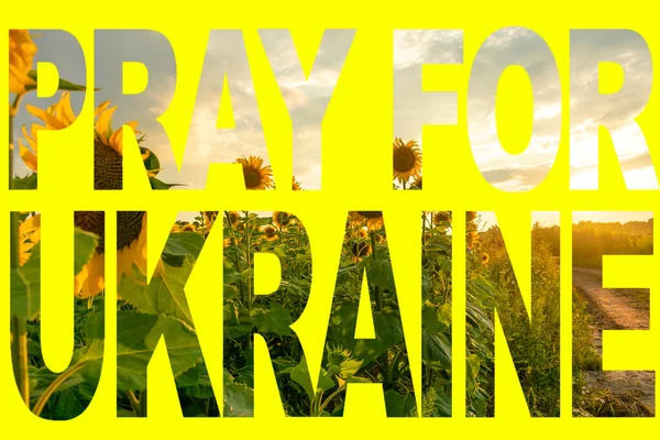 Моліться Україну Жовтими Блакитними Кольорами Прапора Підписаними Полі Красивих Соняшників — стокове фото