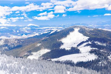 Güzel kış manzaralı, parlak doğa dağları kayak merkezinde. Çam köknarı ladin ağaçları güneşli soğuk bir günde ormanda karla kaplı buzla kaplı. Ukrayna Karpatları manzarası.