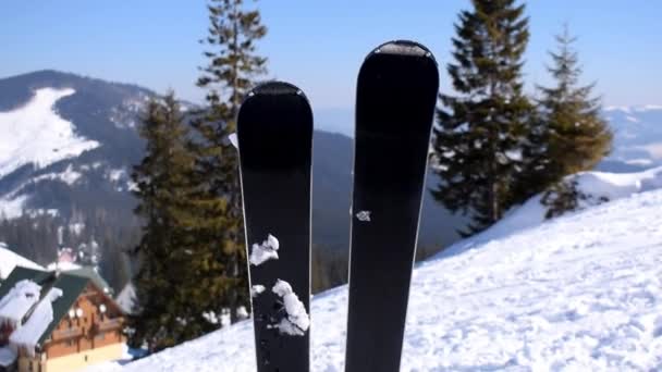 Par Esquís Montaña Nieve Estación Esquí Alpino Invierno Vacaciones Deporte — Vídeo de stock