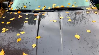 Şehir caddesinde, arka bahçede park edilmiş bir araba. Sonbahar çok renkli portakal huş yaprağı ön cama düşüyor, Sedan 'ın ön camı, garaj yolu park yeri lekesi. otomobil, hava koşullarında araç yağmurdan sonra doğa koşulları.