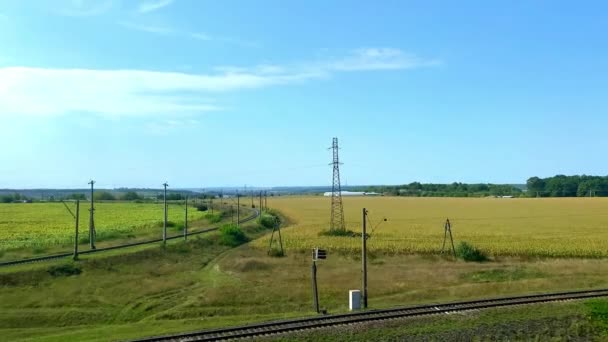 フィールド 鉄道トラックとの美しい景色に高速列車を移動する窓からの眺め 晴れた日の4K映像のジャーニーの風景 — ストック動画
