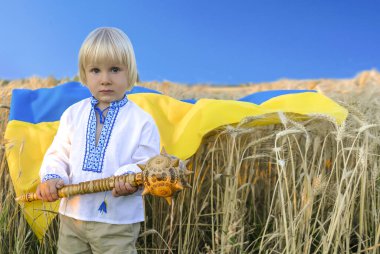 Ukrayna 'nın Bağımsızlık, Bayrak, Anayasa, Kiev Günü' nde elinde Ukrayna ulusal mavi bayrak, buğday tarlasında gürz sembolü taşıyan nakışlı tişörtlü çocuk çocuğu. Vatansever bayram.