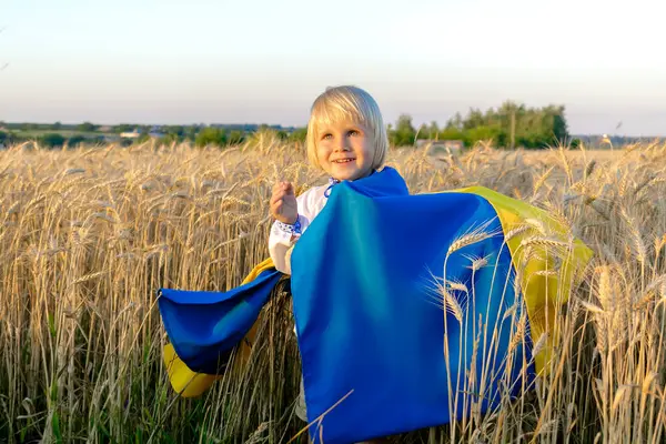 Süslü tişörtlü, buğday tarlasında Ukrayna ulusal mavi bayrağı taşıyan sevimli küçük çocuk. Bağımsızlık, Bayrak, Anayasa, Kiev Günü.