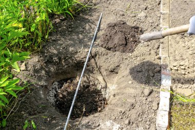 Kürekle kazan çiftçi, toprağa çiçek eken bahçıvan, bahçeye, bahçeye, parka, çiçekliğe tarım, bahçıvanlık, organik, ekoloji doğa kavramı..