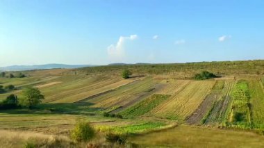 Araba penceresinden, yüksek hızlı trenden, otomobilin altın buğday tarlasında ilerleyişini otoyol boyunca mavi gökyüzüne doğru gidişini tarımsal hasat, seyahat. Kırsal alan