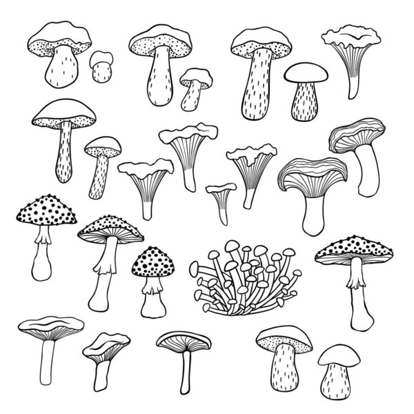 25 black and white mushrooms, vector illustrations