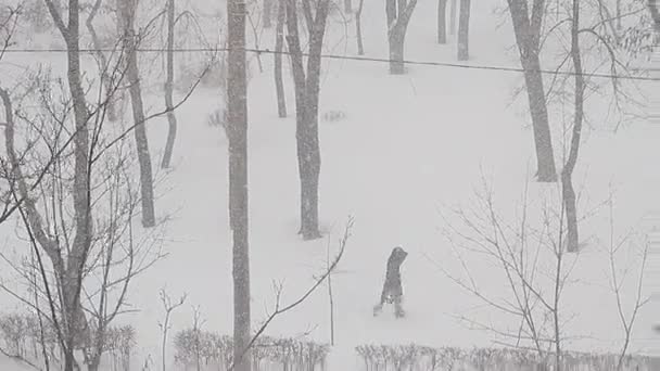 Twee Voorbijgangers Verspreid Straat Een Sneeuwstorm Overleven Kou — Stockvideo