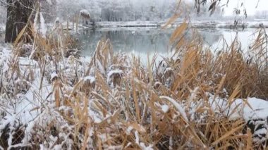 Göl ve çevresi karla kaplı, kış
