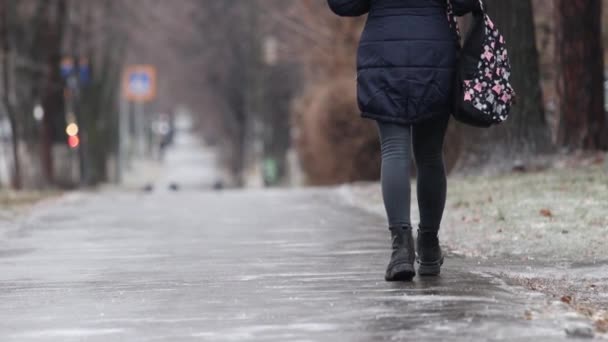 女孩走在冰天雪地的路上 天气很糟糕 — 图库视频影像