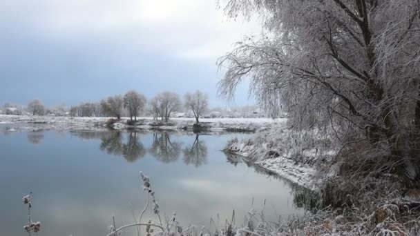 Zimowe Jezioro Okolice Pokryte Śniegiem Zima — Wideo stockowe