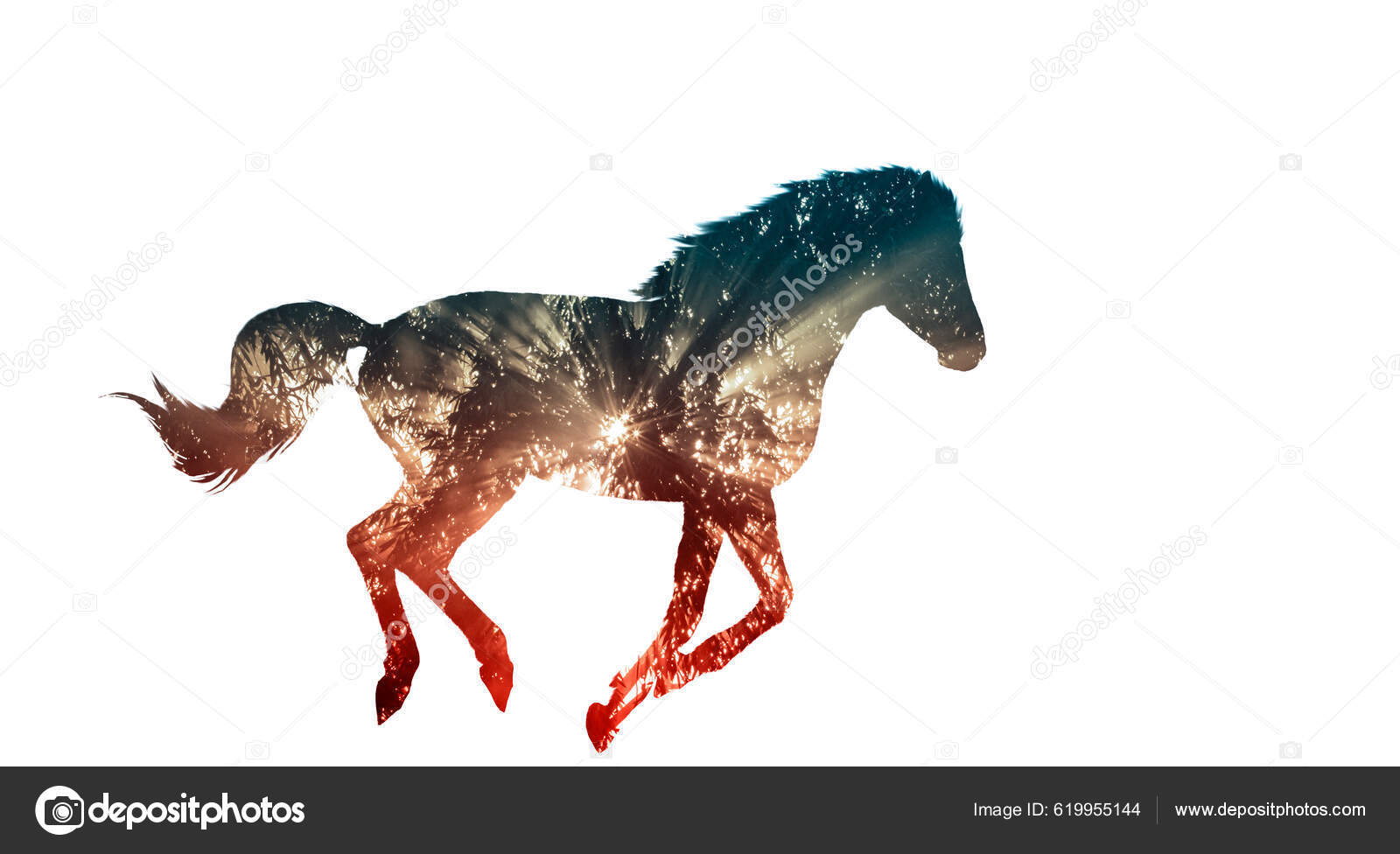 Garanhão cavalo árabe cavalo equestre máscara de cabeça, cavaleiro