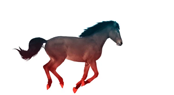 Cavalo Marrom Corre Cores Místicas Símbolo Liberdade Primitivo — Fotografia de Stock