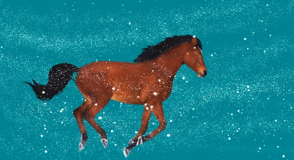 马在飞雪中奔跑 自由的象征 原始的 — 图库照片