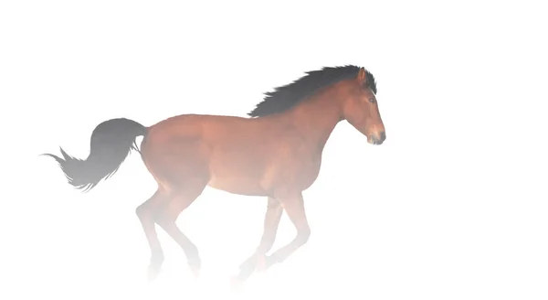 Horse Runs White Haze Symbol Freedom Primeval — Stock Photo, Image