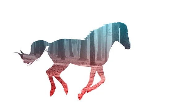 Correndo Silhueta Cavalo Dupla Exposição Floresta Selvagem Símbolo Liberdade Primeva — Fotografia de Stock