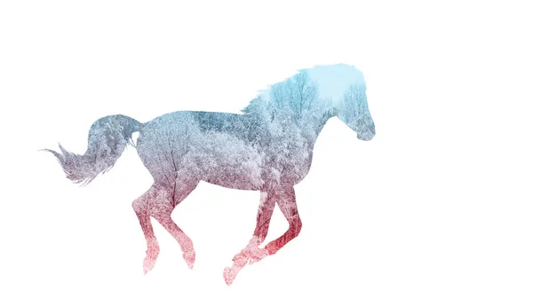Correndo Silhueta Cavalo Exposição Dupla Floresta Inverno Símbolo Liberdade Primeval — Fotografia de Stock
