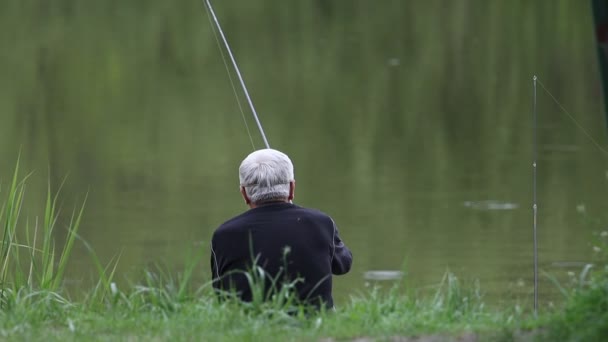 Idoso Homem Cabelos Grisalhos Pesca Lago Pensionista — Vídeo de Stock