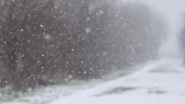 空旷的道路和降雪缓慢的运动 — 图库视频影像