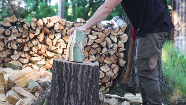 人は丸太を取り斧で切り取るゆっくりとした動きで木を収穫し — ストック動画