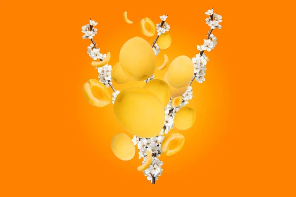 Virágzó Sárgabarack Narancs Alapon Gyümölcsök Gyümölcslevek Kiegészítők — Stock Fotó