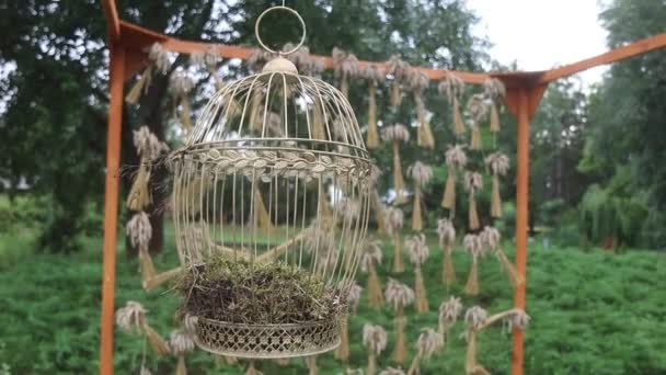 Cage Oiseaux Suspendue Dans Jardin Été — Video