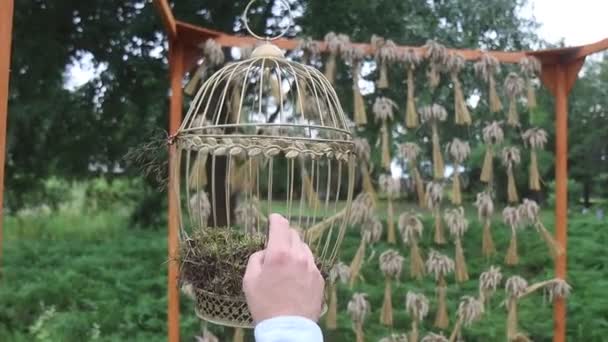 Homme Suspendant Une Cage Oiseaux Été — Video