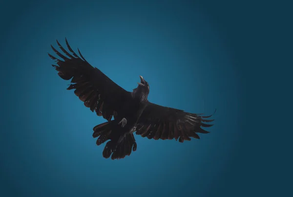 Raven Spreidt Zijn Vleugels Prachtig Uit Een Dramatische Achtergrond Religie — Stockfoto