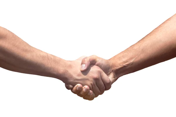 남자의 Handshake — 스톡 사진