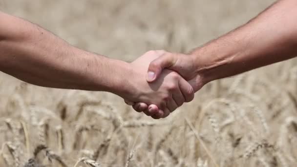 Acuerdo Apretón Manos Los Hombres Acuerdo Grano Cámara Lenta Paz — Vídeo de stock