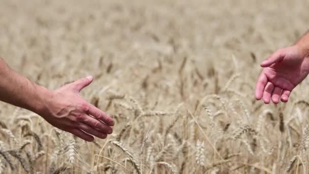 Mens Handshake Grain Deal Slow Motion Agreement Peace Treaty — Stock Video