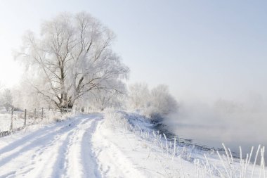 Buz gibi bir kış sabahı, karla kaplı bir yolda, karlı bir kış sabahı, manzara...