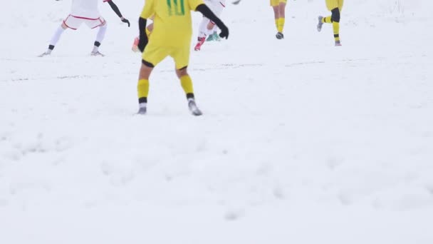 Jogadores Futebol Correm Atrás Bola Neve Esporte — Vídeo de Stock