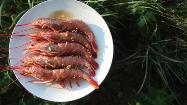Crevettes Marinées Dans Une Assiette Blanche Dans Nature Fruits Mer — Video