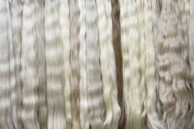 farklı saç şekilleri, güzellik salonu.