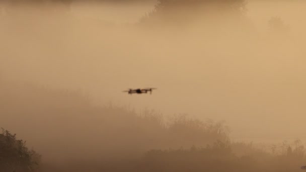 Drone Voa Início Manhã Nevoeiro Nos Primeiros Raios Sol Inteligência — Vídeo de Stock