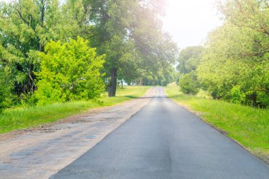 Bahar mevsimi, bozuk bir yolda asfalt döşemek.