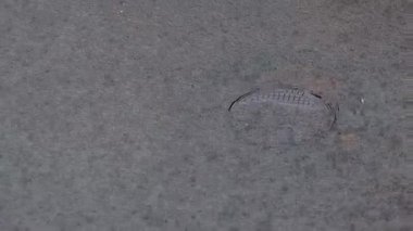 Şiddetli yağmurda rögar kapağı, kötü hava