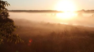 Sisli bir sabah, nehrin üzerinde gün doğumu, doğa.