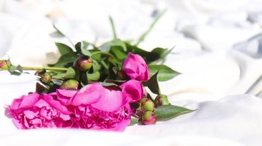 Yeşil yapraklı pembe çiçek buketi, yaz tatili.