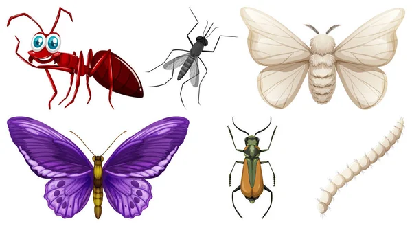 昆虫イラスト種類のセット — ストックベクタ