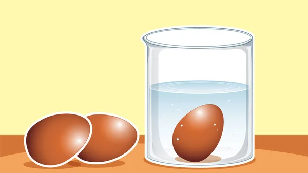 Thumbnail Design Egg Vinegar Experiment Illustration — Stock Vector
